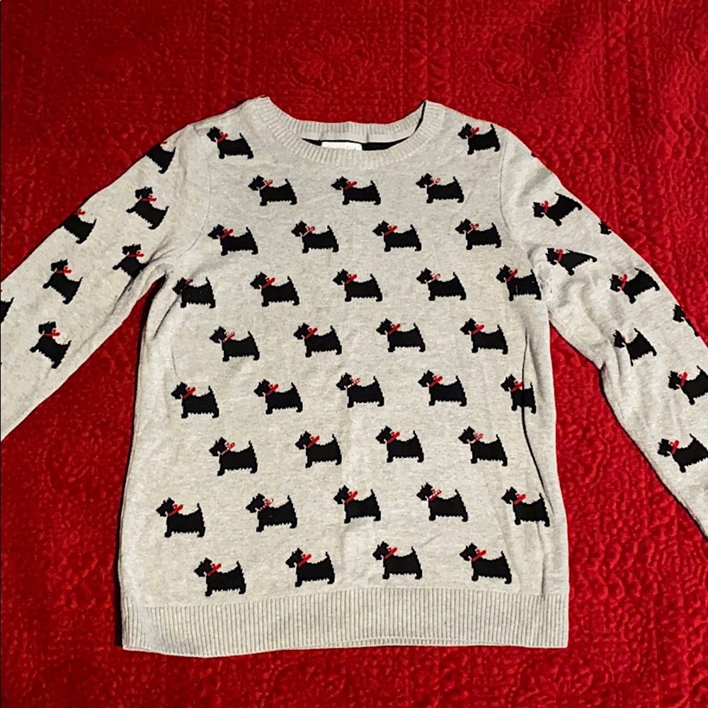 Charter Club sweater